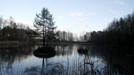 Posprzątali pomnik przyrody