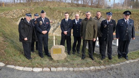 Prezydencki „Dąb Wolności” zasadzony w Leśnej