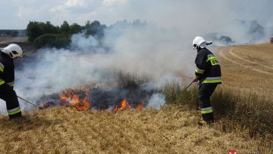 W Siekierczynie spłonęły dwa hektary żyta