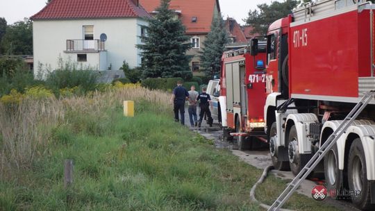 Doprowadził do pożaru na ogródkach działkowych?