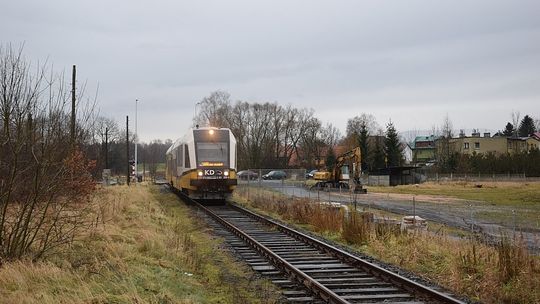 &quot;Ostatni leniwiec&quot;