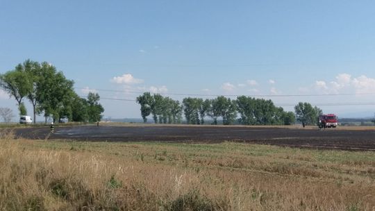 Podpalenie pól koło Henrykowa
