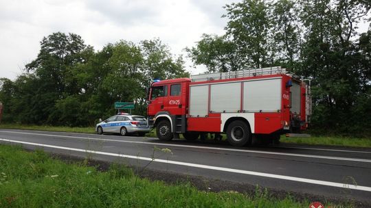 Dachowanie między Biedrzychowicami a Gryfowem