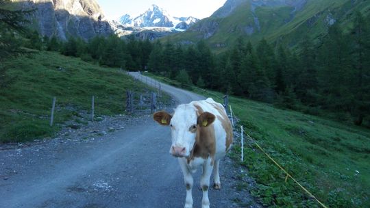 Na dachu Austrii