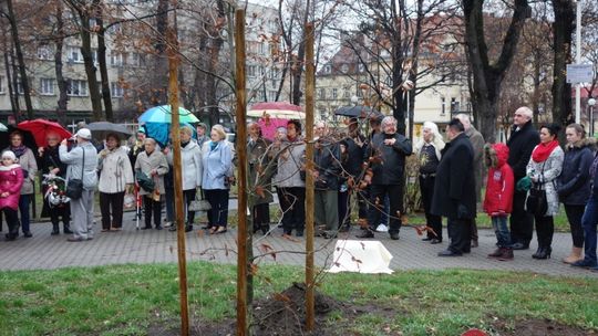 Buk - DAR organizacji pozarządowych dla Lubania