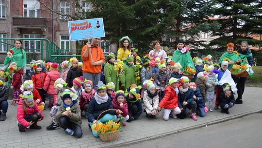 Wszystko budzi się do życia i zakwita – znak, że Wiosna do nas wita!