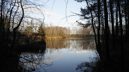 Posprzątali pomnik przyrody