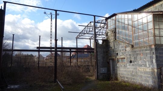 Helsińska Fundacja Praw Człowieka będzie interweniować w Leśnej