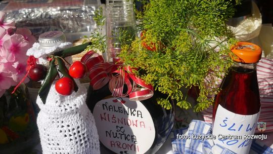 Zaproszenie wystawców strefy regionalnej Sudeckiego Festiwalu Minerałów 2018