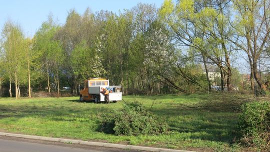 Trwają wiosenne porządki w mieście