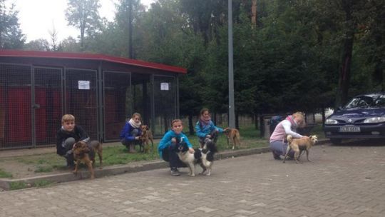 Pomagamy zwierzętom - idźcie w nasze ślady!