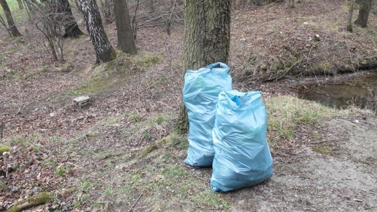 Porządki nad Zielonym