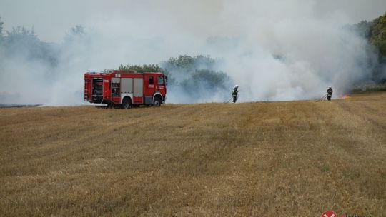 W Siekierczynie spłonęły dwa hektary żyta