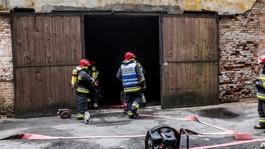 Rozpoznanie i ćwiczenia w Leśnej