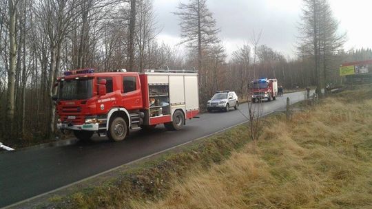 Autobus z 54 pasażerami wypadł z drogi