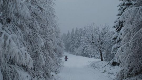 Bieg tylko dla Kobiet już w sobotę, 16 stycznia!