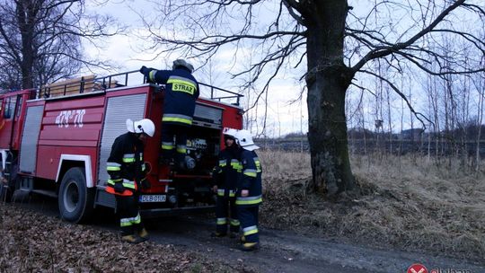 Ruszył sezon wypalania traw