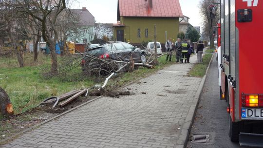 Skosił przystanek autobusowy