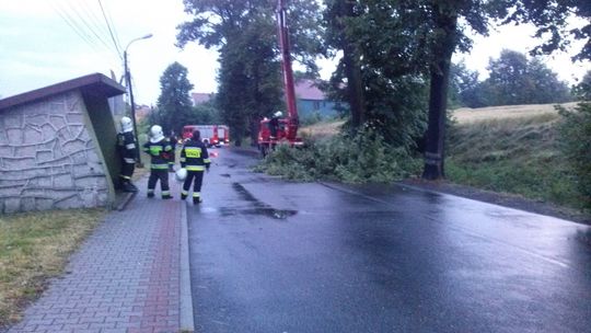 24 interwencje strażaków