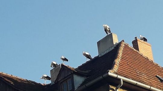 Hotel sejmowy na Łąkowej w Lubaniu