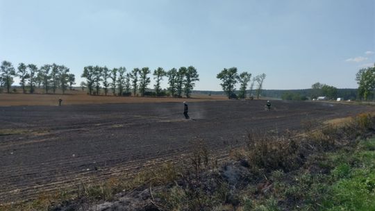 Podpalenie pól koło Henrykowa