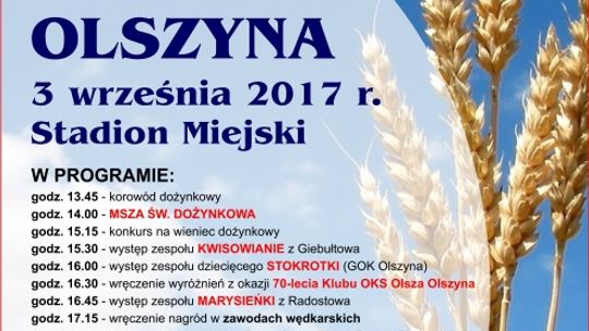 Dożynki Gminne 2017