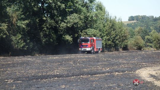 Kolejny pożar ścierniska