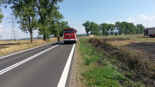 Podpalenie pól koło Henrykowa