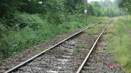 Wykolejenie na linii kolejowej Lubań - Węgliniec