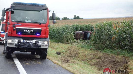 Zakończyły podróż w polu kukurydzy