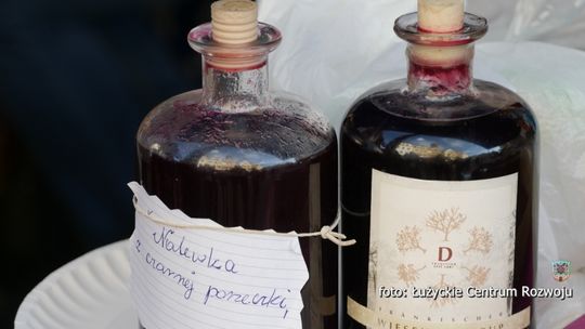 Zaproszenie wystawców strefy regionalnej Sudeckiego Festiwalu Minerałów 2018