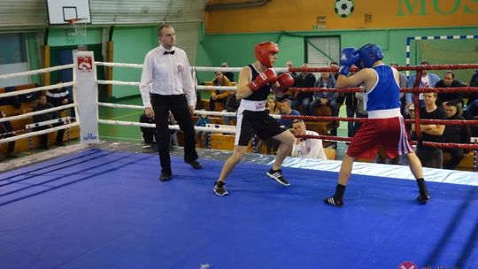 Ring wolny – boks!