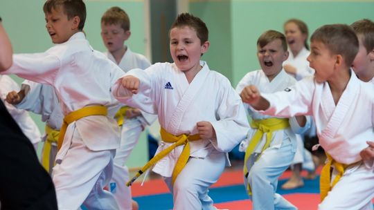 XIV Turniej Samuraja w Karate  -  Pisarzowice 2017