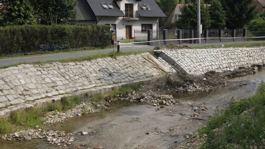 Potok pełen śniętych ryb