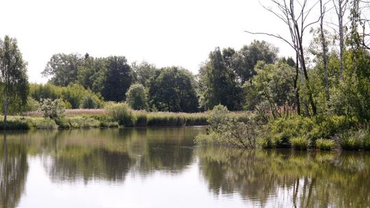 Przedszkolaki na rybach