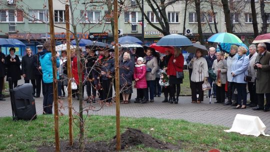 Buk - DAR organizacji pozarządowych dla Lubania