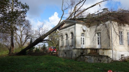 Bilans strat po nawałnicy