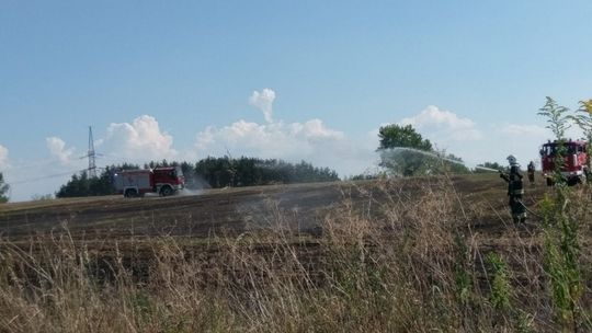 Podpalenie pól koło Henrykowa