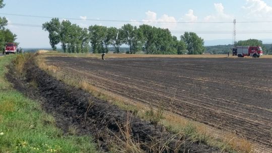 Podpalenie pól koło Henrykowa