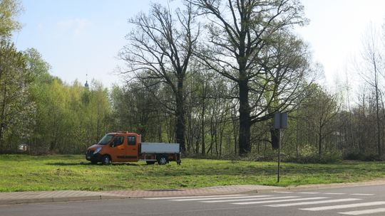 Trwają wiosenne porządki w mieście