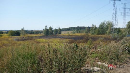 Pożar nieużytków