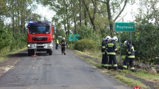 Wieje i będzie wiało jeszcze mocniej