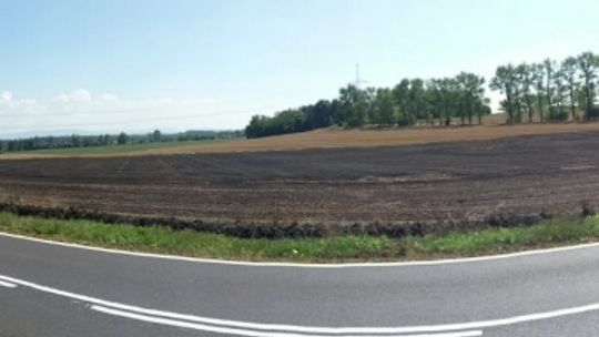 Podpalenie pól koło Henrykowa