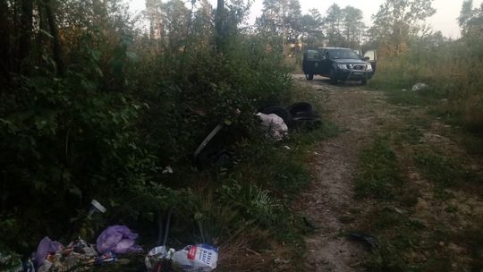 Kolejne wspólne działania Policji i Straży Leśnej