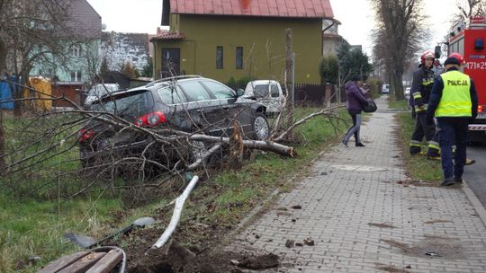 Skosił przystanek autobusowy