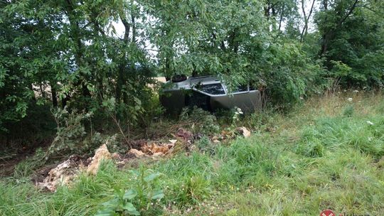 Dachowanie między Biedrzychowicami a Gryfowem