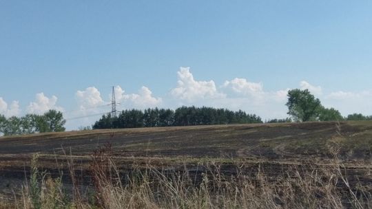 Podpalenie pól koło Henrykowa