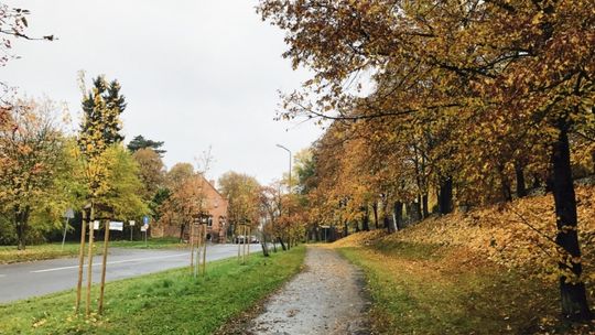 Wrocławska do remontu