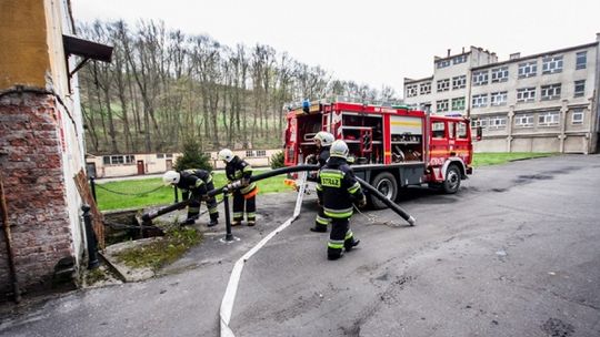 Rozpoznanie i ćwiczenia w Leśnej