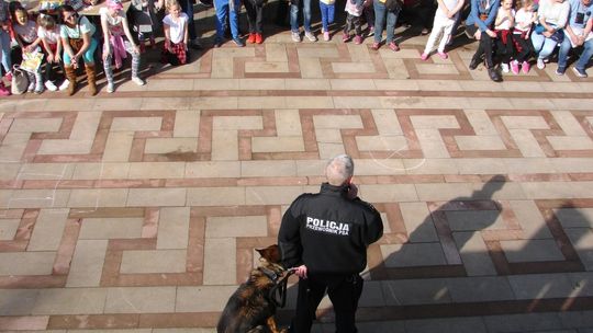 „Postaw na rodzinę-Zachowaj trzeźwy umysł&quot;